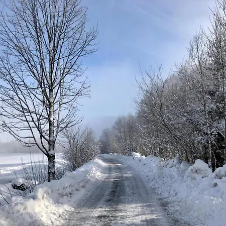 In Near Slopes, Cleaning Included Stuhlfelden